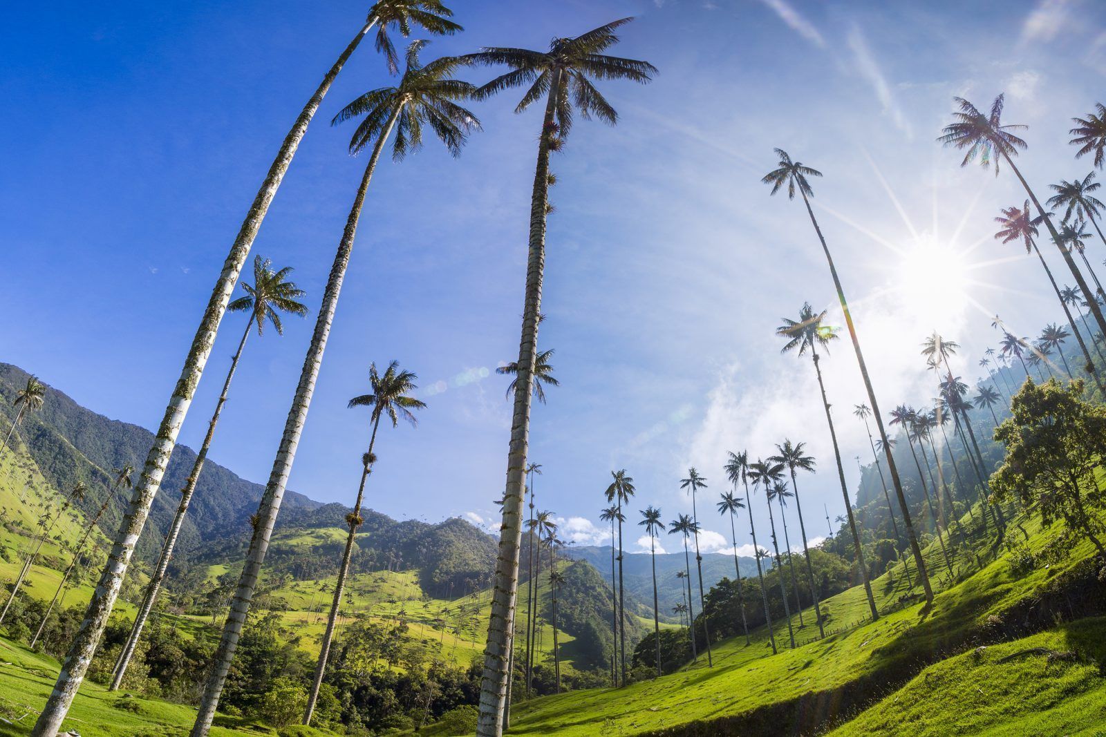 The Best Of Colombia Ole Colombia
