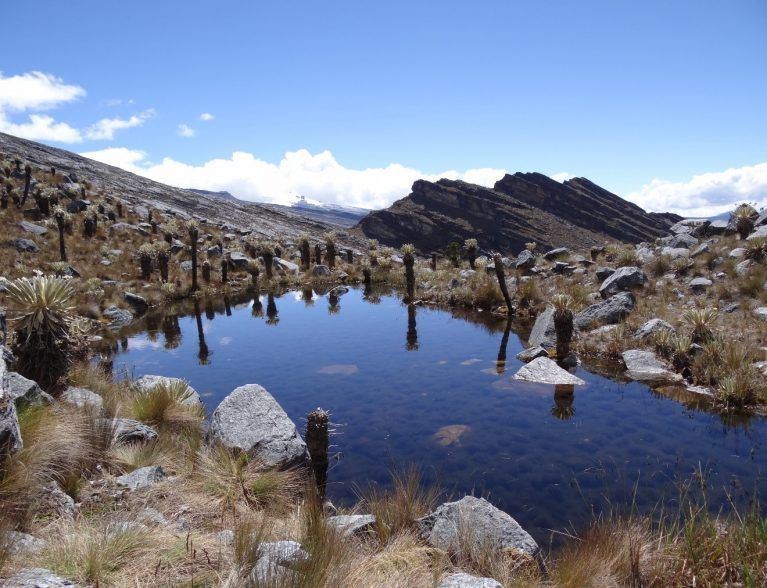 SIERRA NEVADA DEL COCUY