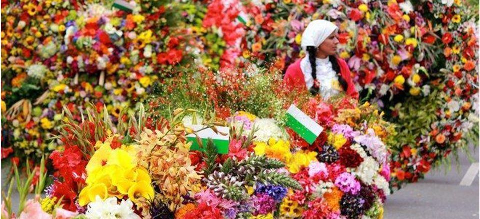 FLORES MÁS EXOTICAS EN COLOMBIA