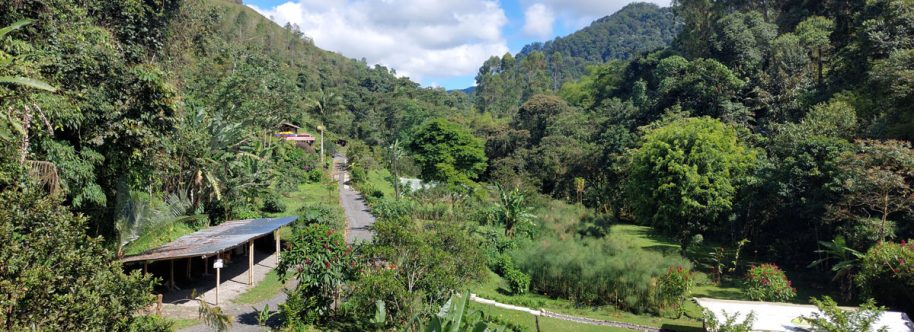medellin-rionegro